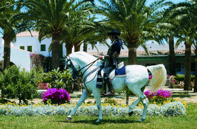 Fly Drive Andalusie Het Zonovergoten Zuiden 6