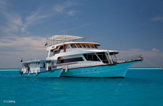 12daagse combi Liveaboard Sheena enen Medhufushi Resort Afbeelding