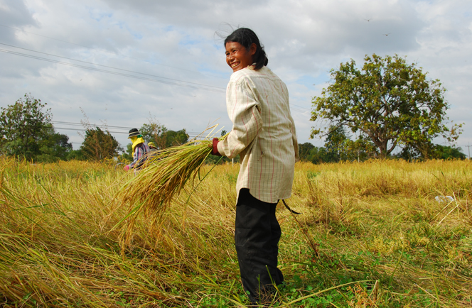 Unieke Thailand en Cambodja 15 daagse rondreis 2