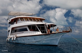 15daagse combi Liveaboard Sheena en Medhufushi Resort 5