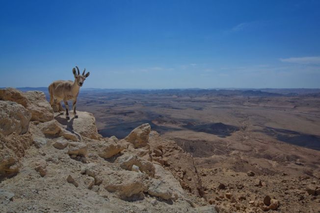 8 daagse Israel op Wielen 2