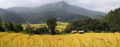 Beleef het Noorden van Thailand