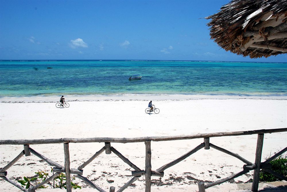 15daagse combinatie WildPark en Zanzibar Diving 3