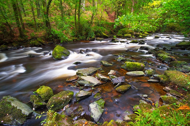 Hoogtepunten van Ierland