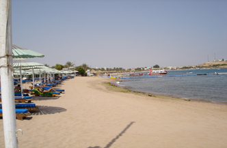 SPECIAL 11 daagse 4 sterren Cairo en Sharm El Sheikh Afbeelding